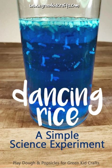 Dancing Rice Experiment | An Entertaining and Simple Project Dancing Rice Experiment, Dancing Rice, Vetenskapliga Experiment, Kitchen Science Experiments, Experiments For Preschoolers, Green Crafts For Kids, Kitchen Science, Experiment For Kids, Science Experiments For Preschoolers