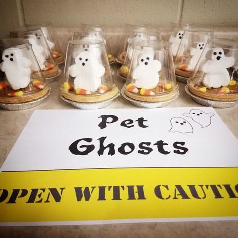 Pet Ghosts #trickortrend 👻 https://discover.hubpages.com/holidays/last-minute-halloween-party-favors Ghost Snacks Preschool, Adopt A Ghost Party Favor, Ghost Snacks, Ghost Marshmallows, Halloween Party Favors For Kids, Last Minute Halloween Party, Halloween Class Treats, Ghost Food, Adopt A Ghost