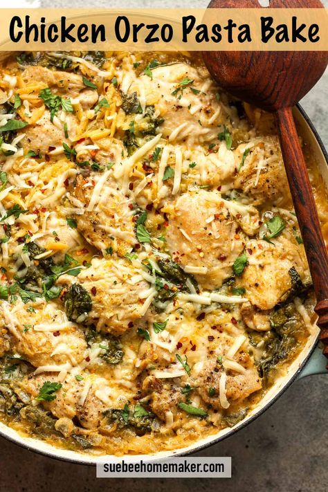 Chicken Orzo Pasta Bake is a comforting, oven-baked dish featuring tender chicken thighs, savory vegetables, and orzo pasta, all combined in a creamy lemony sauce and topped with parmesan cheese. This hearty, flavorful casserole is perfect for a satisfying weeknight dinner and makes great meal prep! Baked Lemon Chicken Orzo, Chicken Orzo Bake One Pot, Orzo Al Limone With Chicken, Easy Chicken And Pasta Dinner, Greek Chicken Orzo Casserole, Lemon Chicken Orzo Bake, Baked Chicken Orzo, Lemon Chicken Pasta Bake, Chicken Thighs Orzo Recipes