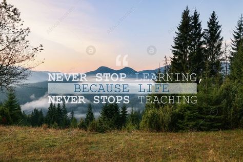 Never Stop Learning, Because Life Never Stops Teaching. Motivational quote saying that knowledge comes from everywhere every day. Text against beautiful mountain landscape Aesthetic Motivational Quotes For Students Landscape, Quotes Landscape, Educational Thoughts For Students, Motivational Quotes For Students In Hindi, Never Stop Learning Because Life, Education Importance Quotes, Education Quotes In Hindi, Science Quotes, Work Motivational Quotes