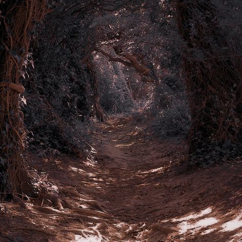 Fairytale Aesthetic Forests, Fantasy Aesthetic Story Inspiration, Dark Fairytale Aesthetic, Alice In Wonderland Aesthetic, Fairytale Aesthetic, Dark Fairytale, Magic Aesthetic, Holly Black, Dark Academia Aesthetic