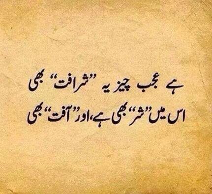 Unknown Punjabi Poems, Inspirational Quotes In Urdu, Poetry Funny, Urdu Funny Quotes, Urdu Funny Poetry, Funny Quotes In Urdu, Impress Quotes, Poetry Ideas, Soul Poetry