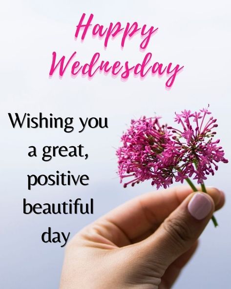 Gm Wednesday, Wendsday Morning Quotes, Good Morning Wellness Wednesday, Good Morning Wednesday Green, Good Morning Wednesday Blessings, Good Morning Happy Wednesday Images Hd, Wednesday Morning Images, Wednesday Hump Day, Happy Wednesday Images