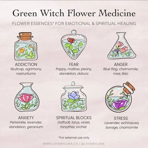 Herbs For Spiritual Awakening, Green Witch Ideas, Green Witch Plants, Witchcraft Flowers, Flower Witchcraft, Witchy Notes, Wicca Aesthetic, Flower Medicine, Aesthetic Magic