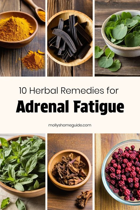 Discover natural support for adrenal fatigue with these best herbs and remedies. Explore adaptogenic herbs, herbal teas, and essential oils that may help relieve adrenal fatigue symptoms. These medicinal herbs offer adrenal support to combat low energy levels. Try DIY blends or supplements for adrenal fatigue relief. Embrace the power of nature with these effective solutions for managing adrenal fatigue in a healthy way. Herbs For Fatigue, Herbs For Cortisol, Adrenal Fatigue Essential Oil Blend, Herbs For Adrenal Fatigue, Medicine Herb Garden, Adrenal Fatigue Symptoms Remedies, Herbal Tinctures Recipes, Herb Remedies, Low Energy Remedies