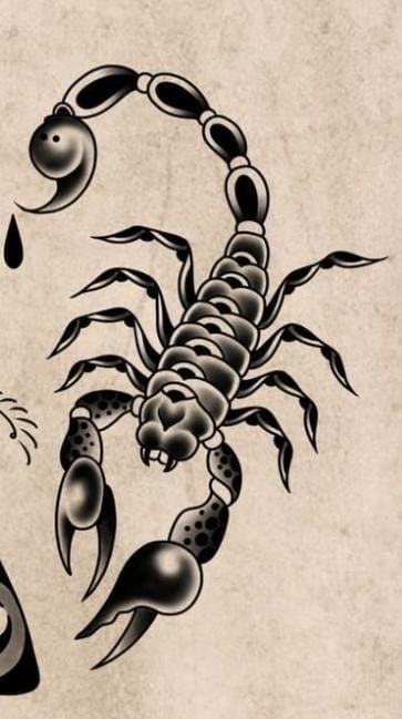 Scorpio Zodiac Tattoos, Tato Tradisional, Half Sleeve Tattoos Forearm, Sak Yant Tattoo, Insect Tattoo, Traditional Tattoo Sleeve, Scorpion Tattoo, Tattoo Concepts, Creepy Tattoos