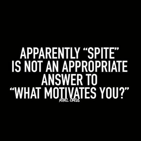 Apparently "spite" is not an appropriate answer to "what motivates you?" Abgedrehter Humor, Sarcastic Quotes Funny, Twisted Humor, Clothes Diy, E Card, Work Humor, Laughter Is The Best Medicine, Ha Ha Ha, Oscar Wilde