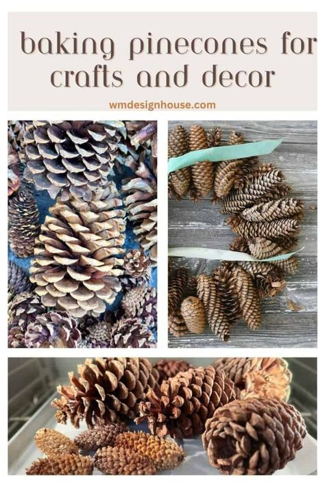 Bake Pinecones For Crafts, How To Open Pinecones, Baking Pinecones, Pinecone Garland Diy, Types Of Pine Trees, Pinecone Garland, Cone Trees, Pinecone Ornaments, Pinecone Wreath