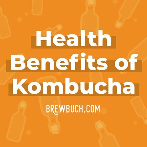 What are the health benefits of kombucha? And is it as healthy as everyone says? All the answers here! Benefits Of Kombucha Every Day, Kumbacha Recipe, Health Benefits Of Kombucha, Benefits Of Kombucha, Kombucha Benefits For Women, Kombucha Health Benefits, Help Constipation, Kombucha Drink, Kombucha Benefits