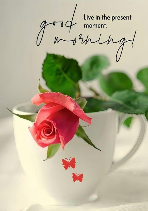 Wonderful Day Quotes, Nice Good Morning Images, Gd Mrng, Good Day Wishes, Good Morning Hug, Good Morning Dear Friend, Lovely Good Morning Images, Good Morning Greeting Cards, Good Morning Flowers Rose