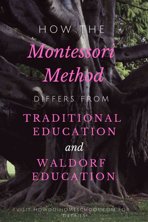 How the Montessori Method differs from Traditional Education and Waldorf Education. Montessori Education vs Traditional Education Homeschool Nook, Montessori Theory, Curriculum Kindergarten, Kindergarten Homeschool Curriculum, Daily Rhythm, Educational Activities For Preschoolers, Middle School Literacy, Types Of Education, Homeschool Preschool Curriculum