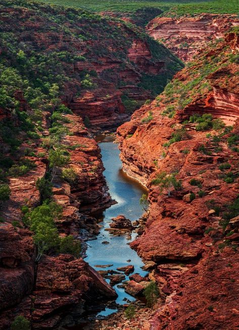 Kalbarri National Park, Swan River, The Gorge, Outback Australia, Kings Park, National Photography, Sandy Beaches, Australia Travel, Landscape Photographers