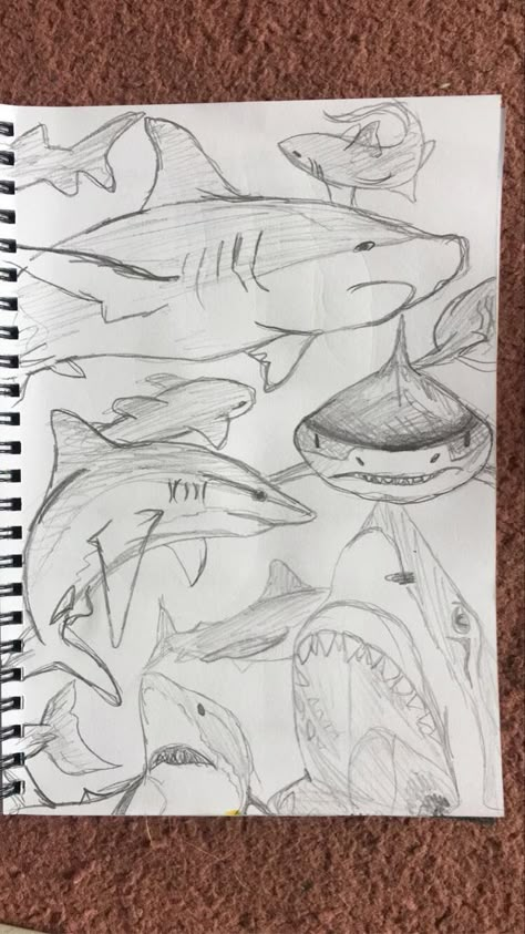 Shark Eyes Drawing, Sharks Drawing Cute, Space Themed Sketches, Shark Sketchbook Page, Whale Shark Drawing Sketches, Sea Sketch Pencil, Sketch Book Ideas Pencil, Sharks Sketch, Sharks To Draw