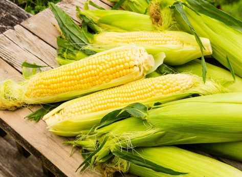 15 Cleanest Foods on Grocery Store Shelves, According to an Expert | Eat This Not That When To Harvest Corn, Freezing Fresh Corn, Freezing Corn, Harvest Corn, Fresh Corn Salad, Growing Corn, Farmers Almanac, Corn Plant, Old Farmers Almanac