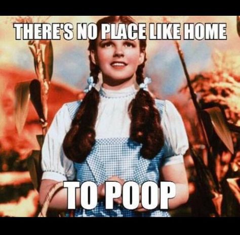 There's no place like home to poop. Oz vintage humor Dorothy Wizard Of Oz, Dorothy Gale, Hollywood Costume, There's No Place Like Home, I Love Cinema, The Wonderful Wizard Of Oz, No Place Like Home, Iconic Dresses, The Wizard Of Oz