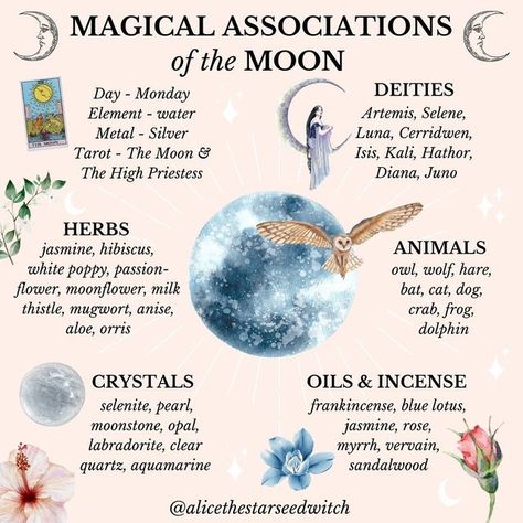 Moon Correspondences Witches, Herbs Of The Moon, Flowers Associated With The Moon, New Moon Herbs, Blue Moon Magic, Moon Associations, Full Moon Correspondences, Moon Rituals Magic, Moon Correspondences