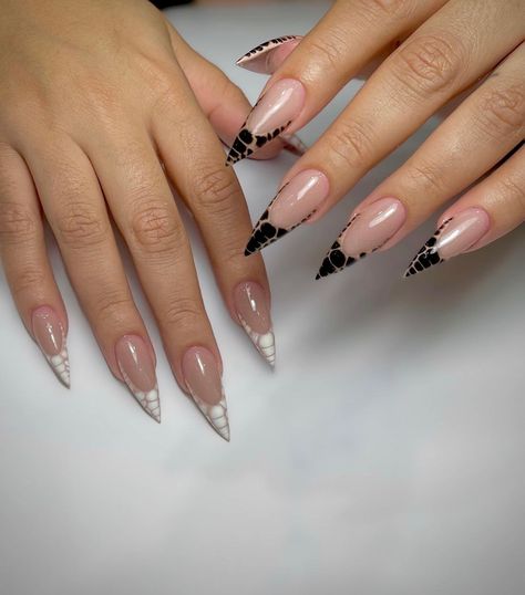 Black And White Nail Tip Designs, Unique White French Tip Nails, Stiletto Black French Tip Nails, Different Types Of French Tip Nails, White French Tip Designs, French Tip Designs Nails, Black And White Stiletto Nails, Black And White French Nails, Black French Tip Nails With Design