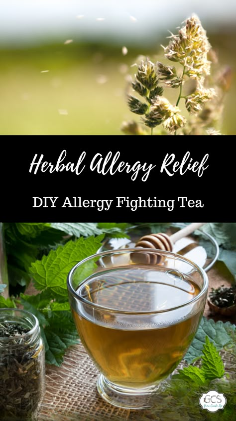 Herbal Allergy Relief, Herbs For Allergies, Medicinal Teas, Spearmint Tea, Allergy Season, Tea Crafts, Medicinal Tea, Healing Tea, Allergy Remedies