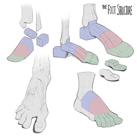 Foot Angle Drawing Reference, Foot Perspective Reference, Feet Art Reference Anatomy, Feet Diagram Anatomy, Drawing Feet Reference Leg Anatomy, Human Anatomy Reference, Anatomy Sculpture, Manga Drawing Tutorials, Human Anatomy Drawing