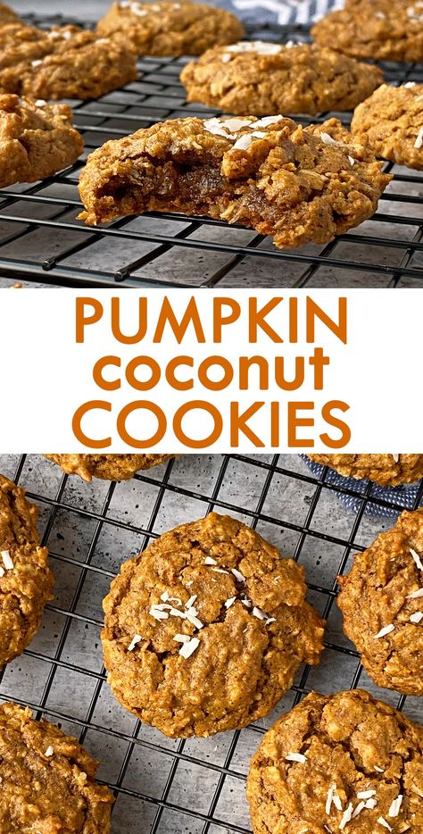 These pumpkin coconut cookies are paleo, vegan and gluten free. They're an easy pumpkin cookie that's made with almond butter, pumpkin puree and shredded coconut. #pumpkincoconut #pumpkincookies #paleocookies #vegancookies Paleo Oatmeal Cookies, Paleo Cookies Easy, Paleo Pumpkin Cookies, Dairy Free Cookie Recipe, Paleo Oatmeal, Pumpkin Cookies Healthy, Pumpkin Cookies Easy, Vegan Pumpkin Cookies, Pumpkin Coconut