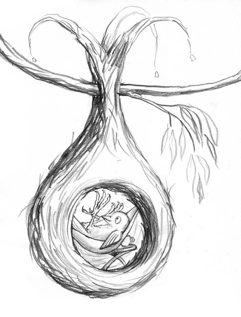 I imagined a tree kingdom full of weaver bird type nests at the start of Leonard. The probably won't happen now as he will be too big and the wrong style for one of these houses. But this was a little experiment that went up on #illo52weeks under Architecture at the time. Weaver Bird Drawing, Birds Nest Drawing, Bird Nest Drawing, Tree Kingdom, Nest Drawing, Weaver Bird Nest, Bird Nests Art, Weaver Bird, Watercolor Doodles