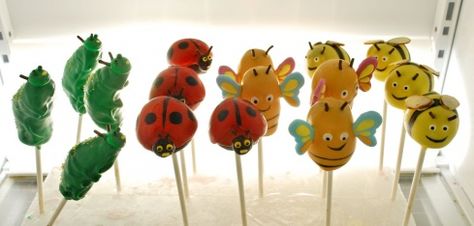 Bug Cake Pops, Kids Gardening Party, Bug Cake, Bug Party, Tiny Treats, Cake Stuff, Beautiful Bugs, Cake Pop, June 30