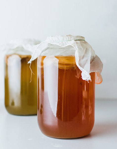 Kombucha Recipe 1 Gallon ⋆ Fermenters Kitchen Make Your Own Kombucha, Kombucha Cocktail, Kombucha Starter, Kombucha Benefits, Kombucha Scoby, How To Brew Kombucha, Homemade Kombucha, Kombucha Recipe, Fermented Tea