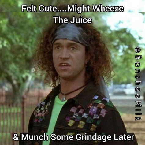 #paulyshore Pauly Shore Son In Law, Son In Law Movie, Encino Man, Pauly Shore, Emoji Memes, Quotes Humor, Grunge Room, Post Quotes, 2000s Movies