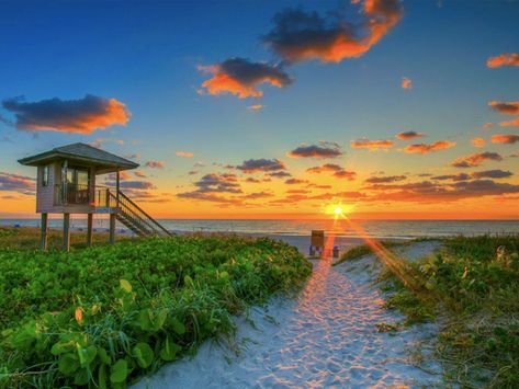 Hotels Near Disney World, Best Beach In Florida, Sunrise Florida, Florida Trips, Florida East Coast, Florida Holiday, Beach Path, Delray Beach Florida, Ocean Tropical