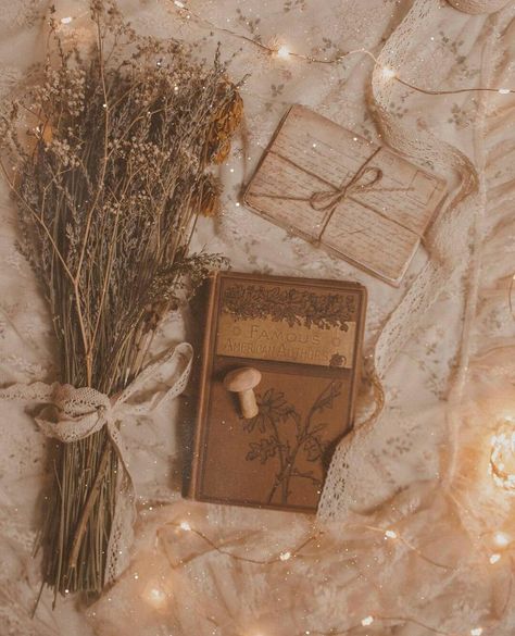 Aesthetic Cottage, Light Academia Aesthetic, Dreamy Photography, Cottage Core Aesthetic, Aesthetic Nature, Cottagecore Aesthetic, Beige Aesthetic, Aesthetic Colors, 판타지 아트