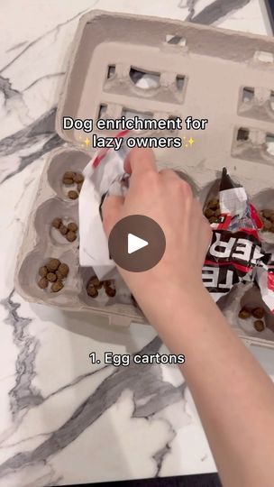 4.1M views · 30K reactions | Benefits:
✅ Provide mental stimulation 
✅ Build confidence with novel objects 
✅ Easy to prepare for busy or lazy dog parents😁
(Please supervise your dog during the activity.)

If you’re interested in more DIY enrichment activities, comment “DIY” and I’ll send you a FREE ebook!💜

#dogenrichment #dogtips #enrichmentfordogs #ditchthebowl #dogtrainingtips | goldenpup.mika | MixAndMash · Buttercup Dog Enrichment, Dog Games, Mental Stimulation, Enrichment Activities, Lazy Dog, Build Confidence, Dog Parents, Fun Loving, Canine Companions