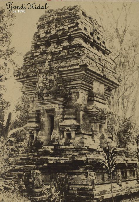 Tjandi Kidal di Toempang dekat Malang dari tahun ke tahun. . Candi Kidal adalah salah satu candi warisan dari kerajaan Singasari. Candi ini dibangun sebagai bentuk penghormatan atas jasa besar Anusapati, Raja kedua dari Singhasari, yang memerintah selama 20 tahun (1227 - 1248). Kematian Anusapati dibunuh oleh Panji Tohjaya sebagai bagian dari perebutan kekuasaan Singhasari, juga diyakini sebagai bagian dari kutukan Mpu Gandring. . Candi Kidal secara arsitektur, kental dengan budaya Jawa Timuran, Archaeology, Java, Old World, Bali, Career, Old Things, Indonesia, Architecture, History