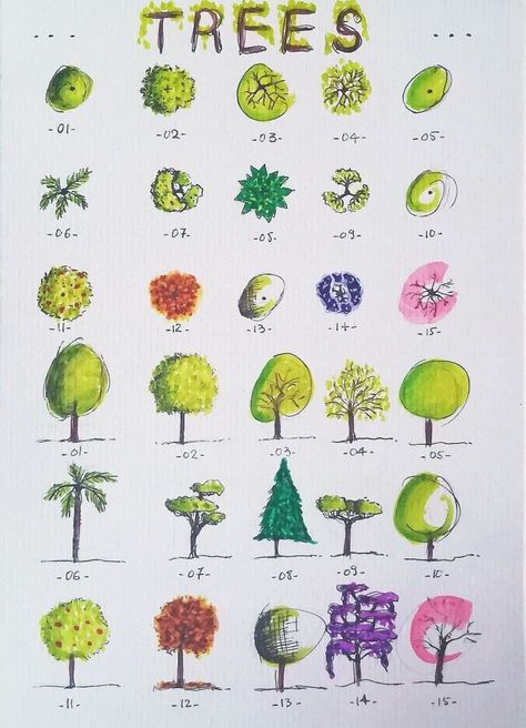 Trees In Elevation Architecture, Plan And Elevation Of Trees, Tree Plan And Elevation, Architectural Trees Drawing, Architectural Trees Plan And Elevation, Tree Elevation Architecture, Trees Sheet, Trees In Plan, Trees In Elevation