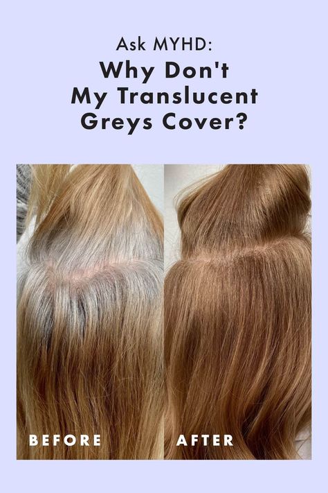 Ask MYHD: Why Don't My Translucent Greys Cover? If you're struggling with translucent Greys or covering Greys it's time to change up how you cover Greys using these Grey Coverage techniques. Colours To Cover Grey Hair, Brunette Balayage Hair To Cover Grey, Demi Permanent Hair Color To Cover Grey, Grey Coverage Hair, Hair Colour Grey, Braids Dreadlocks, Hide Greys, Covering Grey Roots, 60 Hair