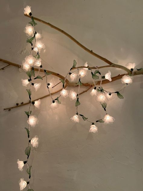 This Night Lights item by RPLIGHT2024 has 25 favorites from Etsy shoppers. Ships from Thailand. Listed on Jun 23, 2024 Aesthetic Fairy Lights Bedroom, Battery Lights Decor, Fairy Aesthetic Decor, Fairy Lights In Room, Cute Decor For Your Room, Dorm Fairy Lights, String Lights In Bedroom, Fairy Lights And Vines, Flower Bedroom Aesthetic