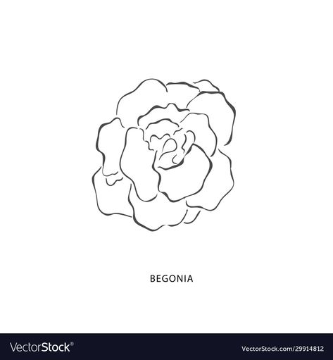 Begonia Tattoo Black And White, Scarlett Begonias Tattoo, Begonia Tattoo, Begonia Flower, Drawings Simple, Fine Line Tattoos, School Board, Line Tattoos, Minimal Tattoo