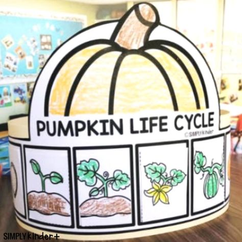 Pumpkin Life Cycle Hat - Simply Kinder Plus Pumpkin Day Activities Kindergarten, Pumpkin Activity Kindergarten, Pumpkin Projects For Kindergarten, Pumpkin Day Kindergarten, Pumpkin Life Cycle Printable, Pumpkin Life Cycle Kindergarten, Pumpkin Activities For Kindergarten, Pumpkin Life Cycle Craft, Pumpkin Activities Kindergarten