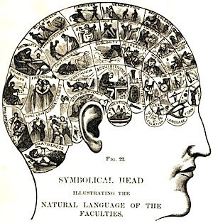 7 Social Psychology Studies to Help You Convert Prospects into Paying Customers Anatomy Head, Phrenology Head, Psychology Studies, Cognitive Psychology, Human Brain, Neuroscience, Vintage Ephemera, Psychology, Brain