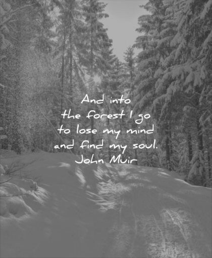 The Best Nature Quotes (Here Are 450 Of The Most Beautiful) Yoga Nook, Crazy Thoughts, Snow Quotes, Best Nature, Henry David Thoreau, John Muir, Closer To Nature, Nature Quotes, Mindfulness Meditation