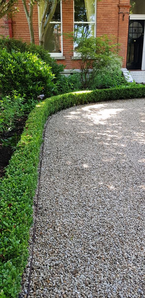 Buxus Planting Ideas, Box Hedge In Front Of House, Box Hedge Driveway, Box Hedge Border Front Garden, Buxus Garden Ideas, Box Hedge Border, Driveway Planting, Driveway Plants, Box Hedge