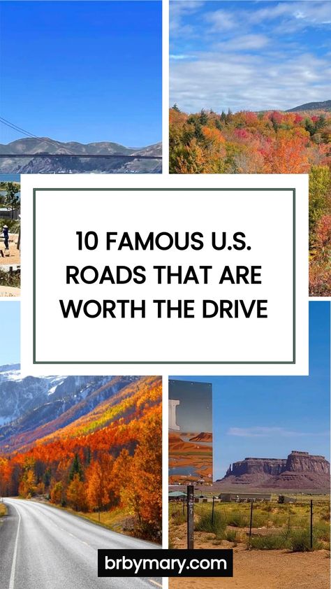 Check these 10 Famous U.S. Road Trips That Are Worth the Drive. The USA is perfect for road trips and there are a few drives you shouldn't miss out on. The Perfect Road Trip, Road Trip Stops In Every State, Usa National Parks Road Trips, Eastern Us Road Trip, Usa Road Trip Map, Tips For Road Trips, Usa Road Trips, Cedar Forest, Road Trip Map