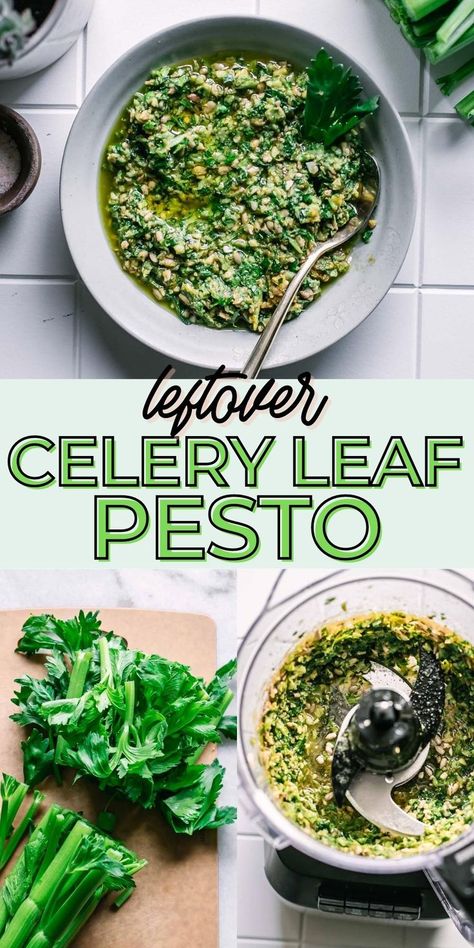 Celery Leaf Pesto, a super simple pesto sauce recipe that uses celery leaves instead of basil! This quick and delicious recipe is a great way to reduce food waste and uses just a handful of ingredients. Leftover Celery, Easy Pesto Sauce, Celery Leaves, Pesto Sauce Recipe, Make Pesto, Celery Recipes, Healthy Nutrition Plan, How To Make Pesto, 140 Pounds