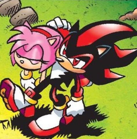 Shadamy Comics, Shadow And Amy, Amy The Hedgehog, Cartoon Books, Sonic And Amy, Sonic Funny, Sonic Franchise, Shadow Art, Sonic And Shadow