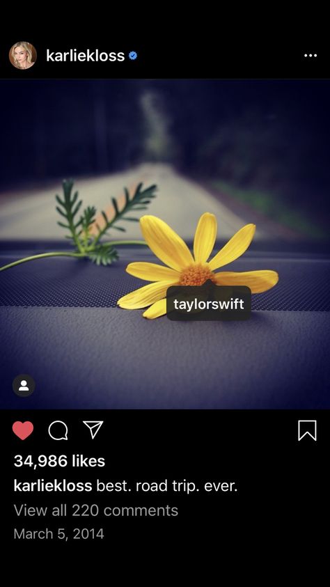 The Daisy from the Big Sur Trip aka The Kaylor Icon.  Daisies = Kaylor Taylor Swift Big Sur, Daisy Taylor Swift, Taylor Swift Daisy, Kaylor Proof, Karlie Kloss Taylor Swift, Big Sur Trip, Collage Cover, Google Keep, 2023 Vision