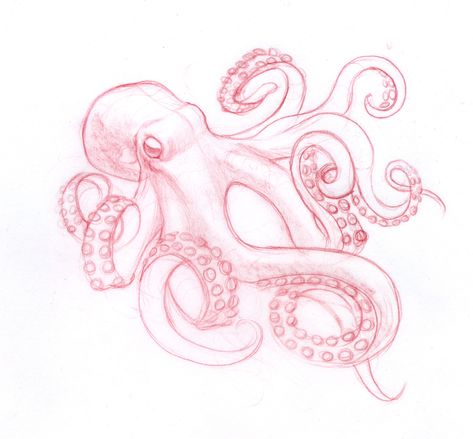 Octopus Tattoo Ideas Female, Drawing Ideas Octopus, Octopus Drawing Reference, Cool Octopus Drawing, Octopus Drawing Tattoo, Kracken Drawings, Octopus Cute Drawing, How To Draw An Octopus, Simple Octopus Tattoo