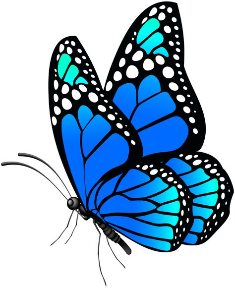 Butterfly Side View, Butterfly Art Drawing, Blue Png, Butterfly Art Painting, Butterfly Blue, Art Butterfly, Butterfly Clip Art, Butterfly Pictures, Butterfly Drawing