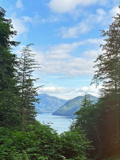 Heart Lake trail in Sitka, Alaska Sitka Alaska, Silver Bay, Future Travel, Travel Ideas, Alaska, Lake, Travel, Photography, Silver