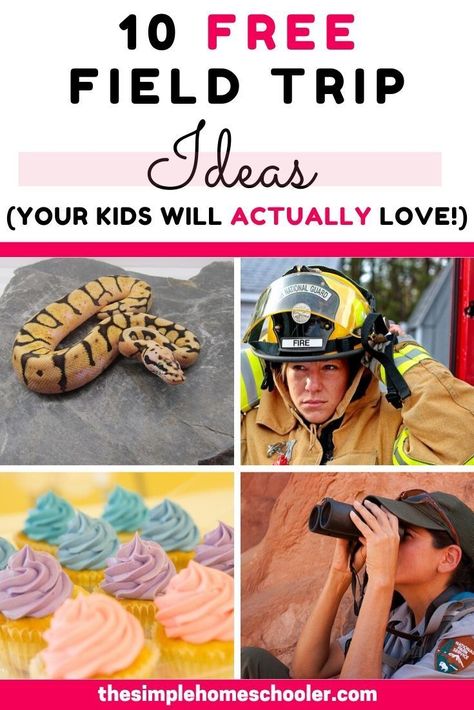 Looking for free field trip ideas that are also fun for your homeschool? I have 10 'outside the box' field trips ideas that your kids are going to love! #homeschoolfieldtrips #freefieldtripideas #fun #learning #homeschooling #kindergarten #elementary Preschool Field Trip, Field Trip Ideas, Homeschooling Kindergarten, Teacher Aesthetic, Homeschool Field Trips, School Field Trip, Homeschool Elementary, Homeschool Education, Virtual Field Trips