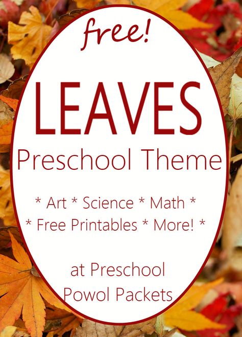 Fun leaf activities for a preschool leaf theme! Math, science, crafts, and more! Tree And Leaf Activities For Preschool, Leaf Unit Preschool, Leaf Lesson Plans Preschool, When The Leaf Blew In Activities, Leaf Activities Preschool, Preschool Leaves Activities, Leaves Preschool, Leaves Activities, Leaf Lesson Plans