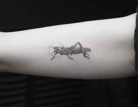 Cute Cricket Tattoo, Grasshopper Tattoo Design, Grass Hopper Tattoo, Grasshopper Tattoo Cute, Cricket Tattoo Design, Insects Tattoos, Grasshopper Tattoo, Cricket Tattoo, Biology Tattoo